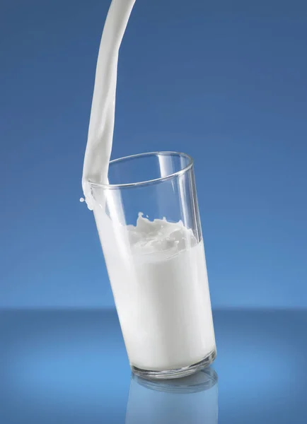 Verser des éclaboussures de lait dans un verre sur fond bleu — Photo
