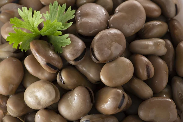 Egyptian Traditional Food, Cooked Bean — Stock Photo, Image