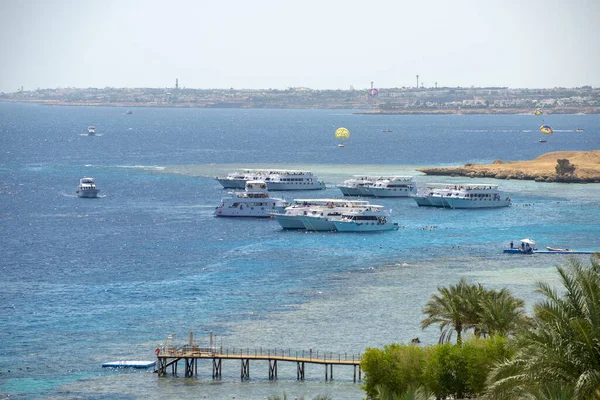 Sunny Summer Red Sea View Sharm Sheikh Sinai Egypt — Stock Photo, Image