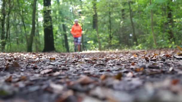 Defocused jogger running through forest in autumn — Αρχείο Βίντεο