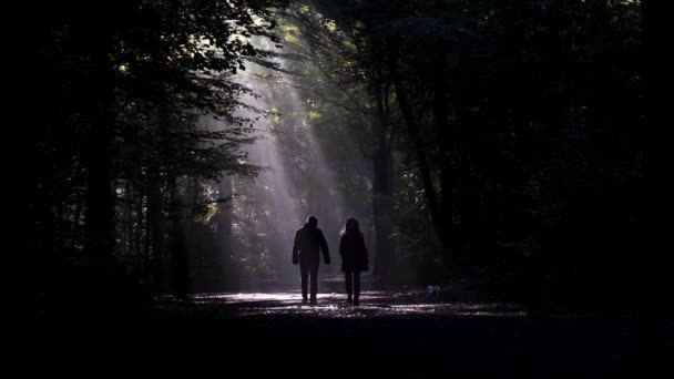 Paar geht mit Hund im dunklen Wald spazieren — Stockvideo