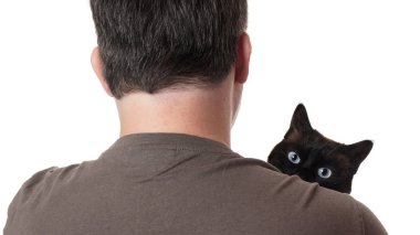 cat peeking over shoulder clipart