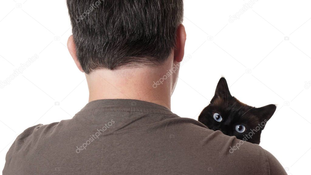 cat peeking over shoulder