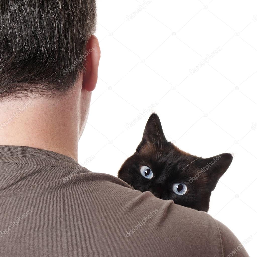 cat peeking over shoulder