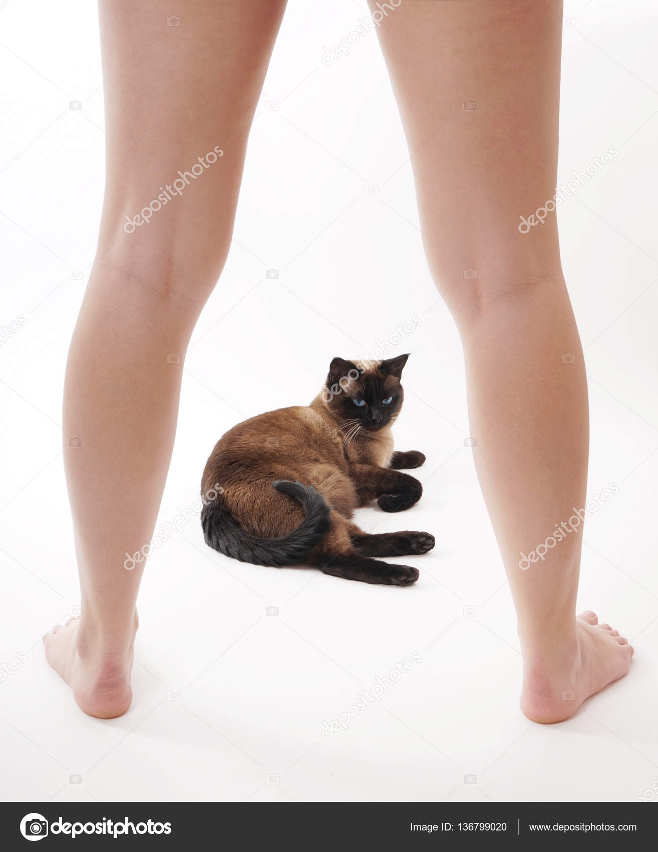 Стройные ноги. Что у девушек между ног. Красивые ножки. Красивые ноги. Красивые ножи.