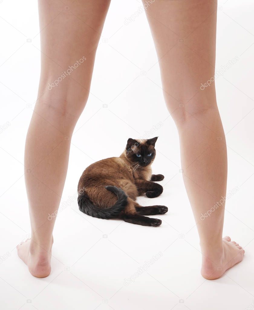 cat between a womans legs