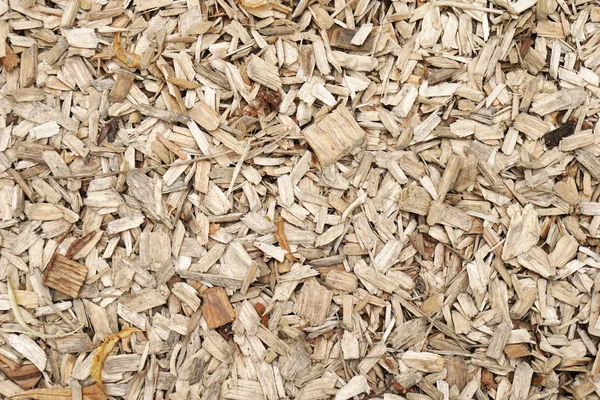 Träspån eller sågspån — Stockfoto