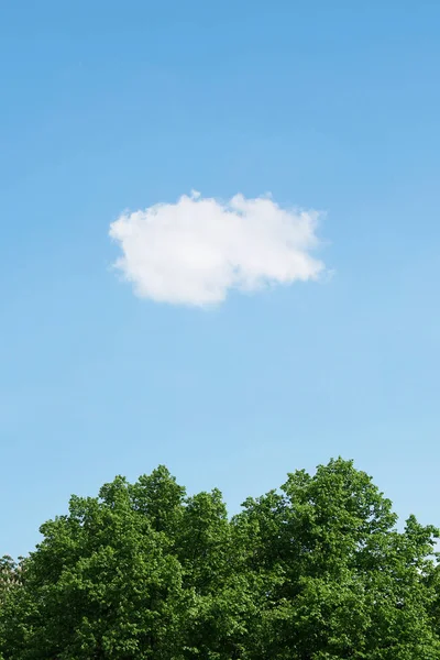 Blauer Himmel Mit Einzelnen Weißen Wolken Über Grünen Baumwipfeln Vertikaler — Stockfoto