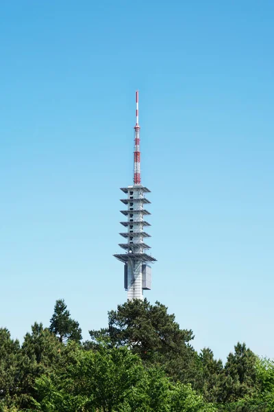 Torre di telecomunicazioni sopra le cime degli alberi — Foto Stock