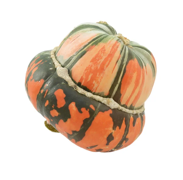 Orange and green striped Turban squash — Stockfoto