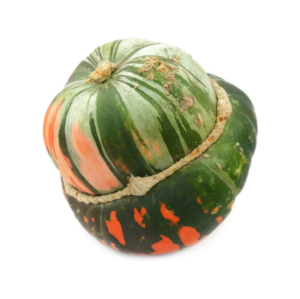 Green and orange turban squash — Stockfoto