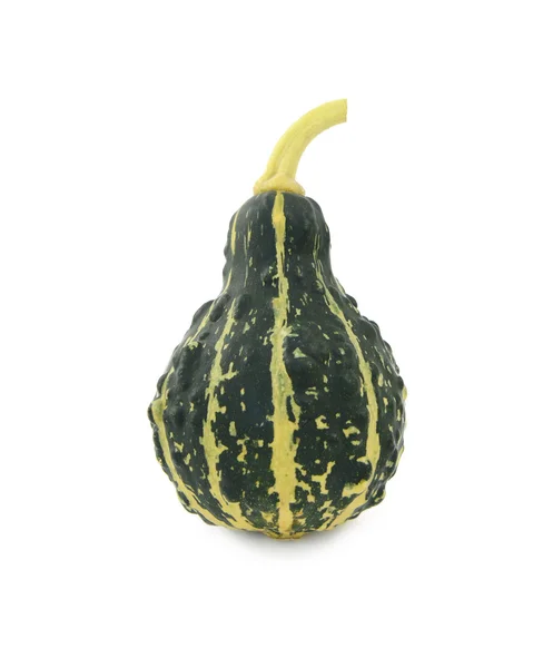 Green, stripey ornamental gourd — Stockfoto