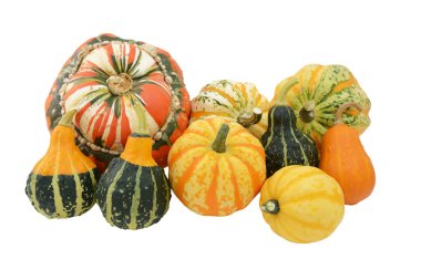 Selection of ornamental gourds with striped Turks turban squash clipart