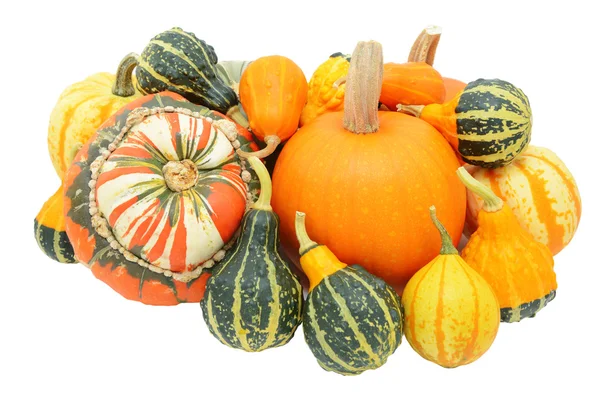 Groupe de gourdes automnales - citrouilles, courges turban et ornamenta — Photo