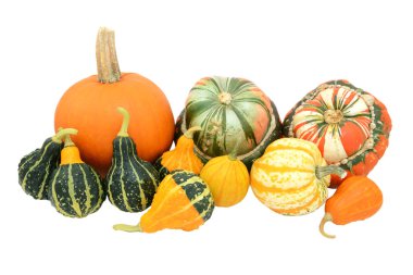Su kabakları, kabak ve squashes seçimi