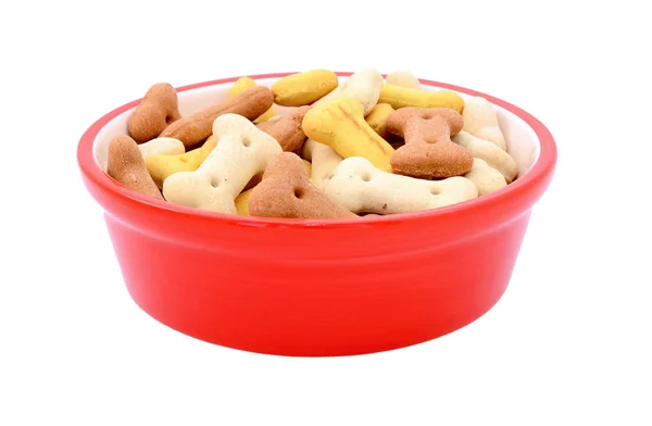 Ve tvaru kosti psí sušenky v misce červený krmiva pro zvířata v zájmovém — Stock fotografie