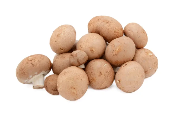 Неравномерная куча свежих каштановых грибов с коричневыми шапками — стоковое фото