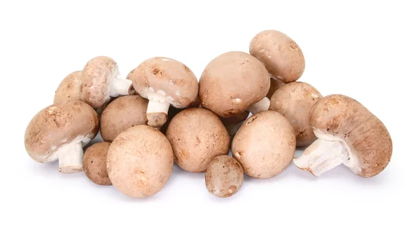 Högen av kastanj svamp visar caps och stjälkar — Stockfoto