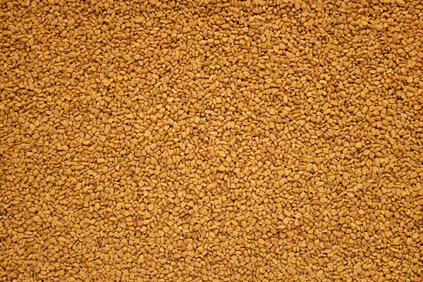 Fenegriek zaden achtergrond — Stockfoto