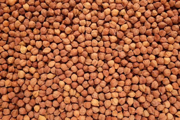 Dried black chickpeas background — Stock Photo, Image