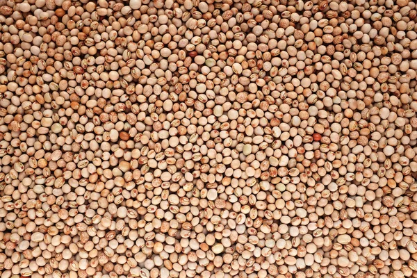 Dried pigeon peas background — Stock Photo, Image