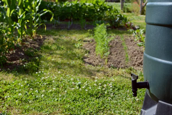 Green water butt with black tap in an allotment garden — Stock Photo, Image