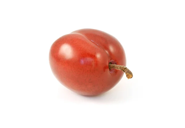 One ripe red plum with stalk — Stock Photo, Image