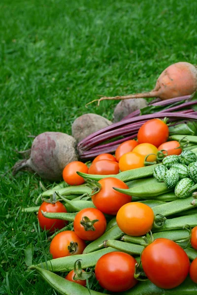 Red and yellow tomatoes piled with beans, beetroot and cucamelon — Stock Photo, Image