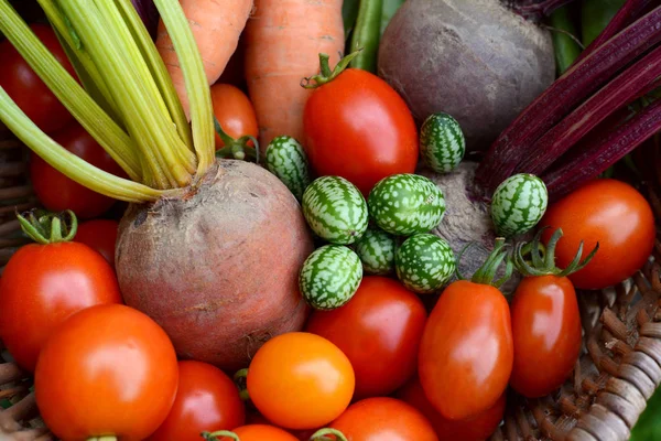 Red tomatoes, rainbow beetroot, pepquino and carrots — Stock Photo, Image