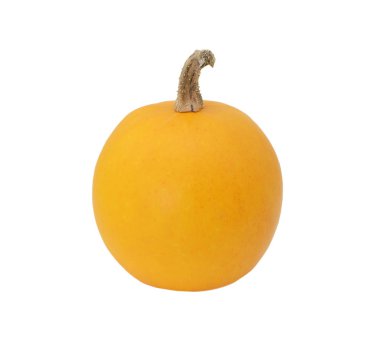 Pürüzsüz tenli turuncu süs kabağı