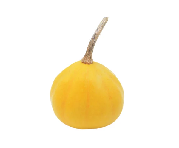 Small yellow ornamental gourd — Stock Photo, Image