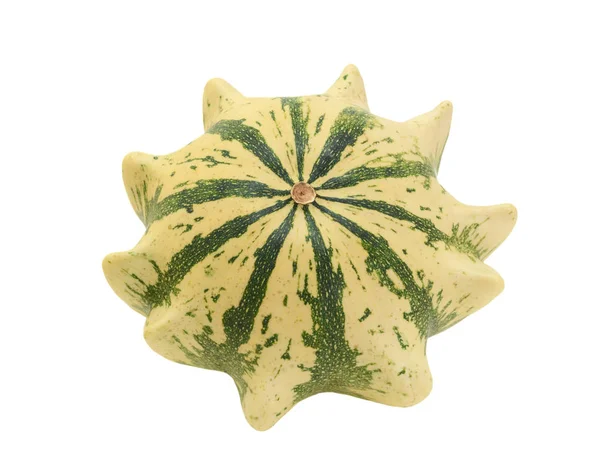 Calabaza ornamental a rayas verde y crema, Corona de Espinas — Foto de Stock