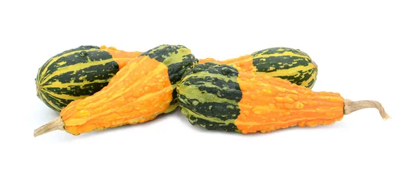 Cuatro calabazas ornamentales en forma de pera con rayas naranjas y verdes — Foto de Stock