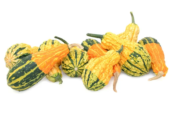Sortiment av orange, grön och gul prydnads kalebasser — Stockfoto