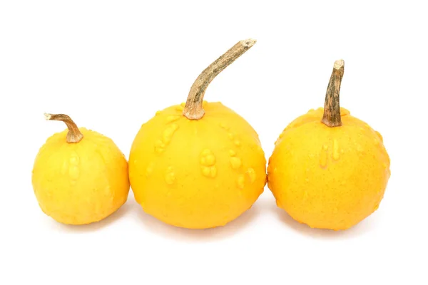 Three round orange ornamental gourds with warty lumps — Stock Photo, Image