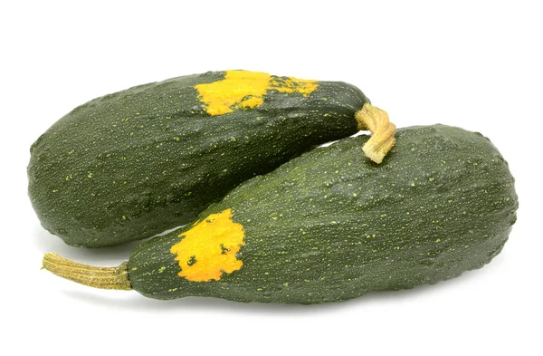 Two large marrow-shaped warty ornamental gourds — Stock Photo, Image