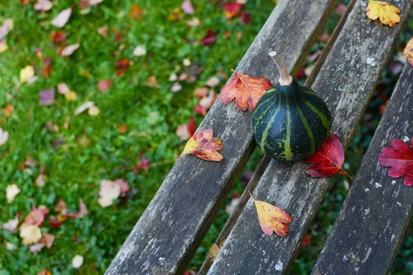 Gourd di filatura verde su una panchina di legno intemperie — Foto Stock