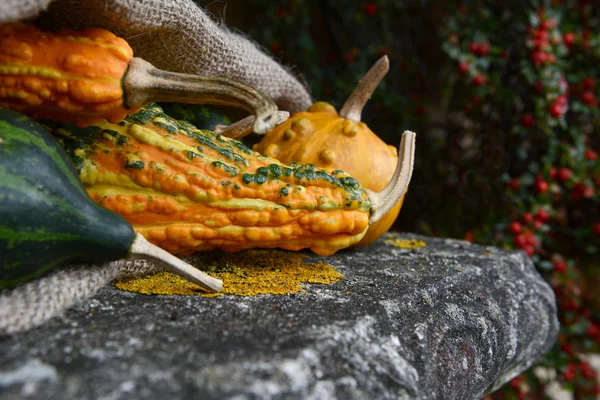 Gourds ornamentali a strisce, verruche in un sacco hessian — Foto Stock