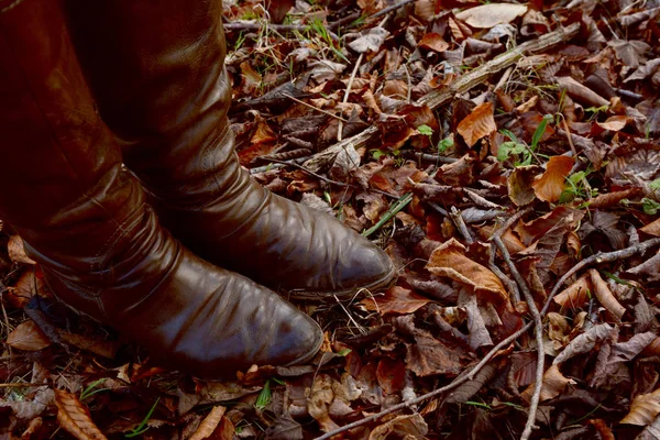 Woman stands in brown leather boots in an autumnal wood — Stock Photo, Image