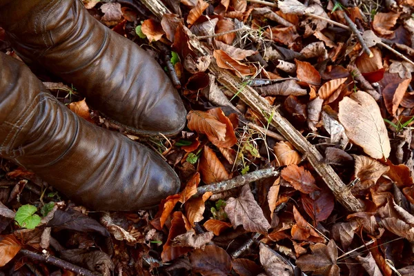 Stivali donna in pelle marrone tra foglie autunnali e legno morto — Foto Stock