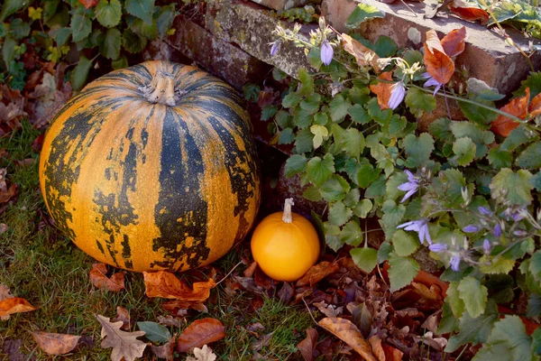 Large striped pumpkin with a small orange gourd — Stock Photo, Image