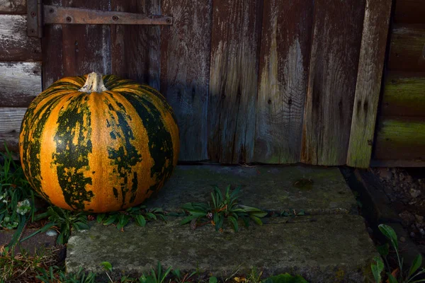 Large pumpkin on a step by a wooden door — Stock Photo, Image