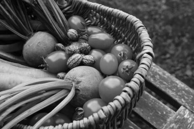 Pancar, domates, cucamelons ve bir sepet içinde havuç