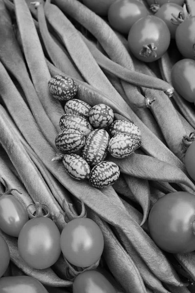 Cucamelons and tomatoes on runner beans — Stock Photo, Image