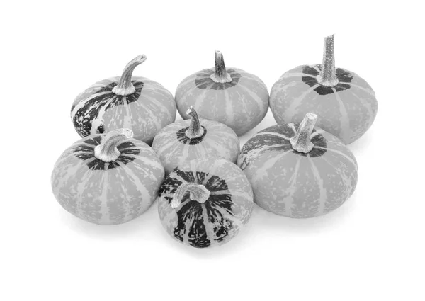 Group of seven small disc-shaped ornamental gourds — Stock Photo, Image