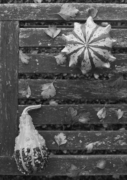 Korona z cierni i kształcie gruszki dynia na ławce wyblakły — Zdjęcie stockowe