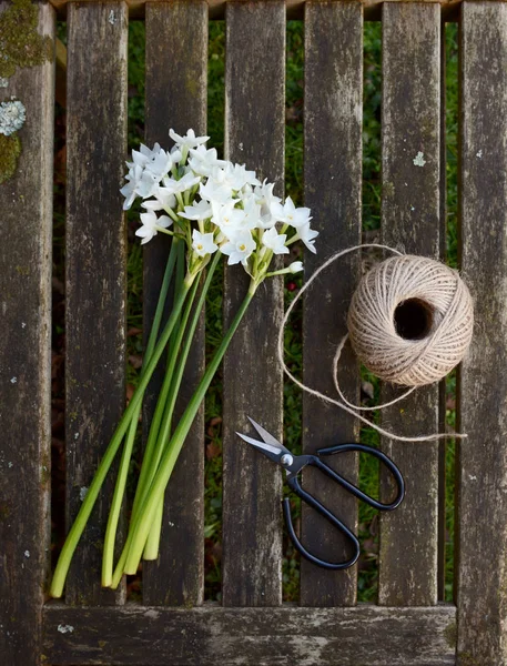 Narcissi stems on wooden bench with twine and scissors — Stock Photo, Image