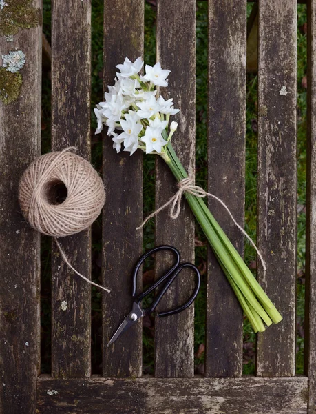 Narcissi tied with twine, with garden string and scissors — Stock Photo, Image