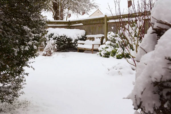 Arbustos e banco no jardim do país coberto com neve — Fotografia de Stock