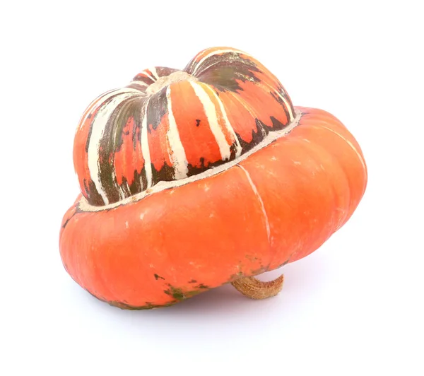 Profil av turkar Turban gourd, med en slät orange lock — Stockfoto